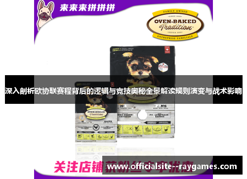 深入剖析欧协联赛程背后的逻辑与竞技奥秘全景解读规则演变与战术影响